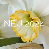 Neu in 2025!