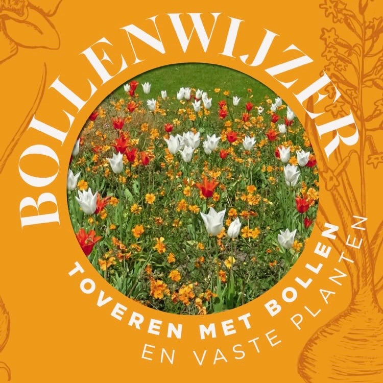 Zwiebel-Bibel, Zaubern mit Blumenzwiebeln