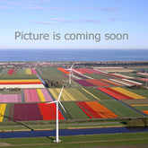 Lavendel Hoffnung